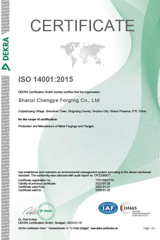 Сертификат.13